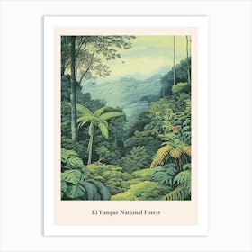 El Yunque National Forest Art Print