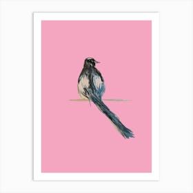 Magpie Pink Art Print