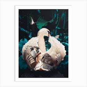 Swans Art Print