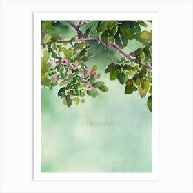 Cyphastrea Storybook Watercolour Art Print