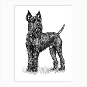  Belgian Laekenois Dog Line Sketch 4 Art Print