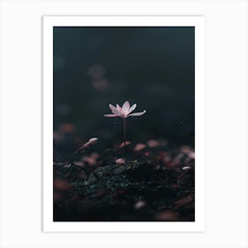 Lotus Flower 34 Art Print