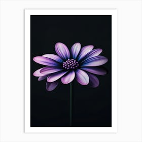 Purple Daisy 3 Poster