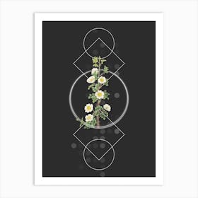 Vintage Scotch Rose Bloom Botanical with Geometric Line Motif and Dot Pattern n.0089 Art Print