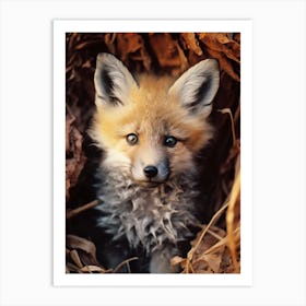 Kit Fox Photorealism 2 Art Print