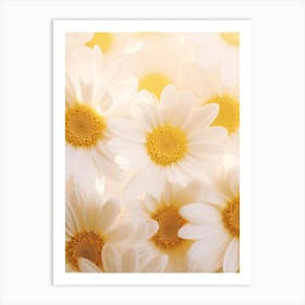 White Daisies Art Print