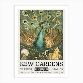 Kew Gardens Peacock Art Print