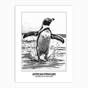 Penguin Hauling Out Of The Water Poster Art Print