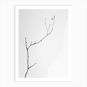 Bare Branch Art Print