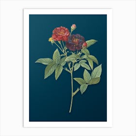 Vintage Van Eeden Rose Botanical Art on Teal Blue n.0297 Art Print