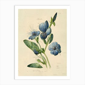 Blue Flowers Botanical Vintage Farmhouse Art Print