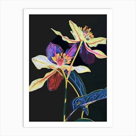 Neon Flowers On Black Hellebore 2 Art Print