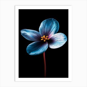 Blue Flower 12 Art Print