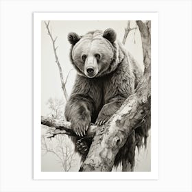 Bear In Tree Art Print