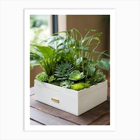 Planter Box Art Print