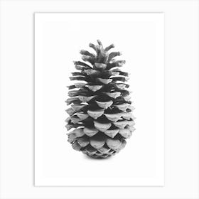 Minimalist Pine Cone Art Print