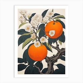 Tachibana Mandarin Orange 3 Vintage Botanical Woodblock Art Print