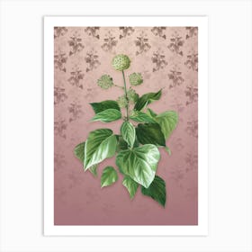 Vintage Common Ivy Botanical on Dusty Pink Pattern n.1664 Art Print