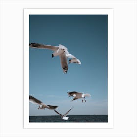 Flying Gulls Art Print