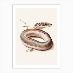 Hognose Snake 1 Vintage Art Print
