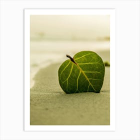 Leaf On The Beach Art Print