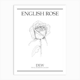 English Rose Dew Line Drawing 1 Poster Art Print