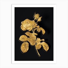 Vintage Provence Rose Botanical in Gold on Black Art Print