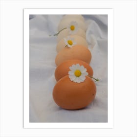 Eggs And Daisies 1 Art Print