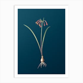 Vintage Brandlelie Botanical Art on Teal Blue n.0532 Art Print