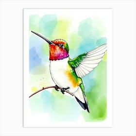 Watercolor Hummingbird 1 Art Print