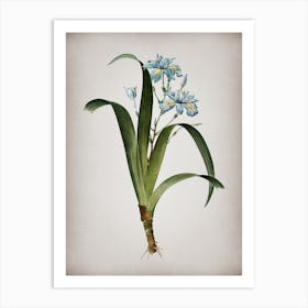 Vintage Iris Fimbriata Botanical on Parchment n.0793 Art Print