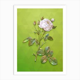 Vintage White Provence Rose Botanical Art on Love Bird Green n.1393 Art Print