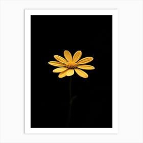 Single Yellow Daisy 6 Art Print