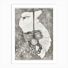 White Cockatoo (1878 1917), Theo Van Hoytema Art Print