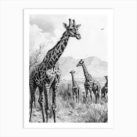 Herd Of Giraffe Pencil Portrait 2 Art Print