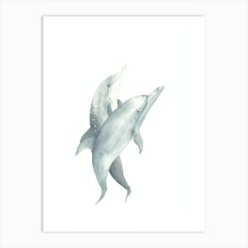 Dolphins Art Print