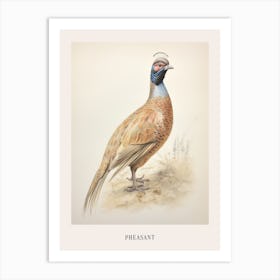 Vintage Bird Drawing Pheasant 2 Poster Art Print