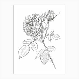 Black And White Rose Line Drawing 9 Art Print