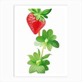 June Bearing Strawberries, Plant, Marker Art Illustration 2 Art Print