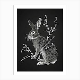 American Sable Rabbit Minimalist Illustration 3 Art Print