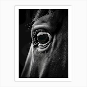 Eye Of A Horse Art Print