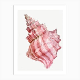 Pink Conch Shell 1 Art Print