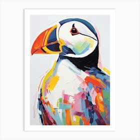 Colourful Bird Painting Puffin 2 Art Print