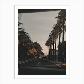 Palm Trees On The Road Art Print