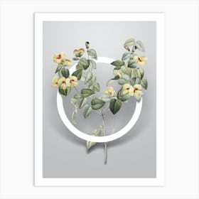 Vintage Platilobium Minimalist Botanical Geometric Circle on Soft Gray n.0256 Art Print