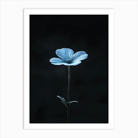 Single Blue Flower Art Print