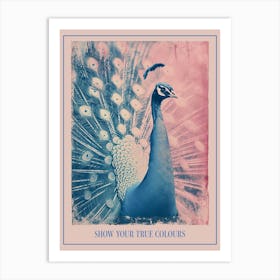 Pink & Blue Peacock Cyanotype Inspired 2 Art Print