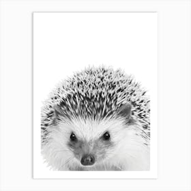 Hedgehog Art Print