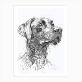 Chesapeake Bay Retriever Dog Charcoal Line 3 Art Print