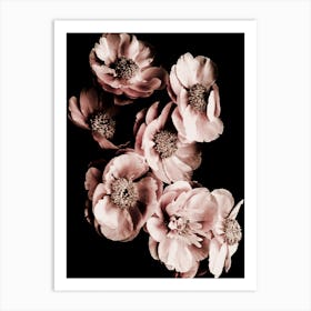 Summer Blossoms Art Print